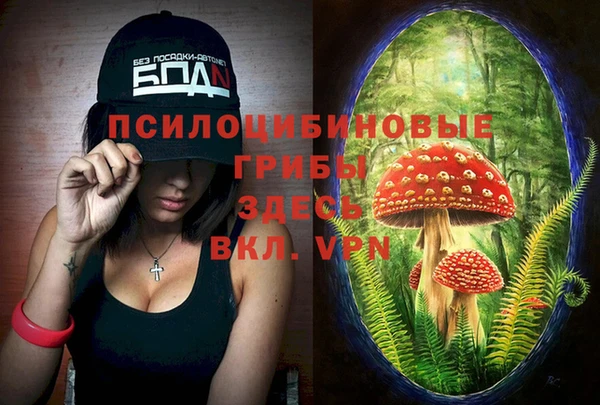 экстази Зерноград