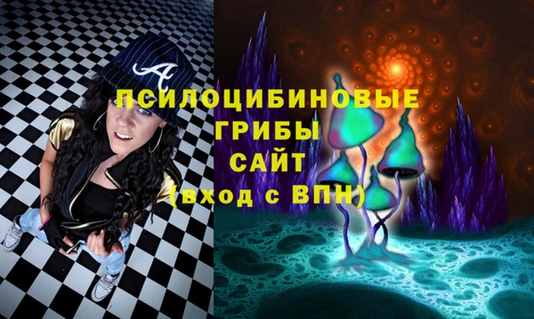 герыч Зеленодольск